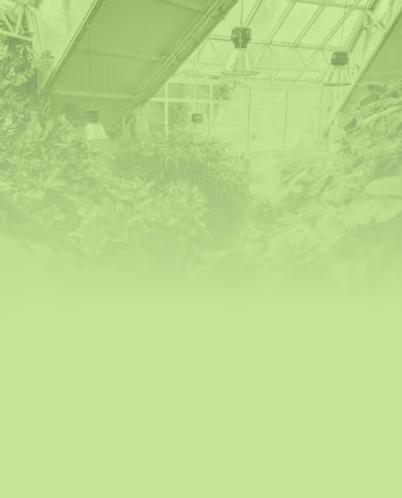 Academy resource illustration