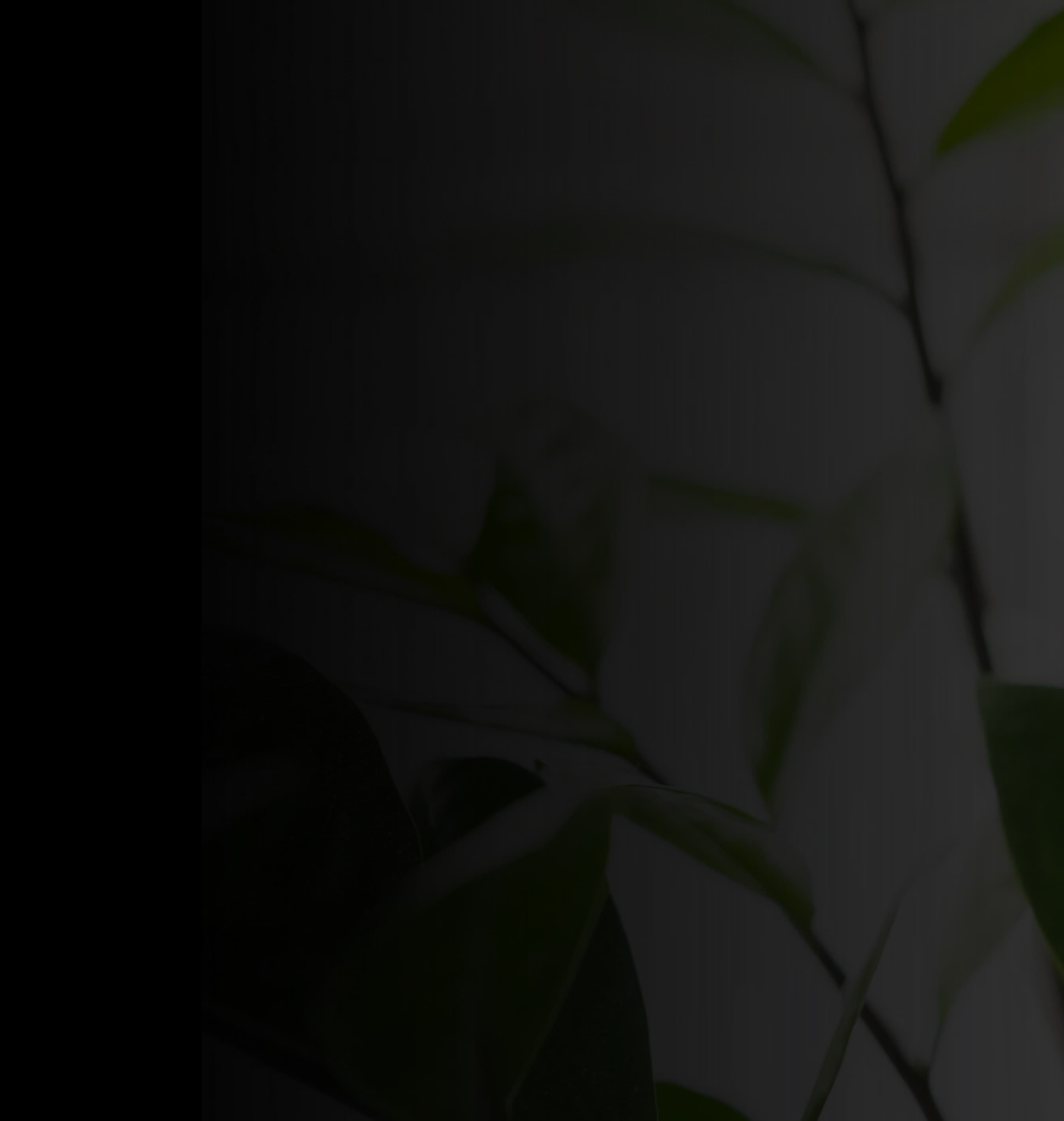 Decarbonisation-first